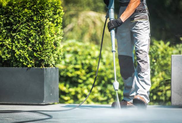 Best Paint Preparation  in Lus Valley Marinwood, CA