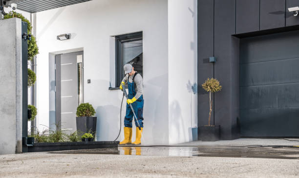 Best Driveway Pressure Washing  in Lus Valley Marinwood, CA
